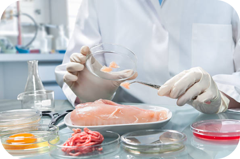 Key SFDA Requirements for Food & Cosmetic Imports